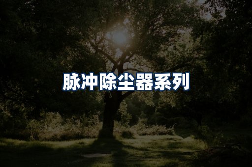 脉冲除尘器展示